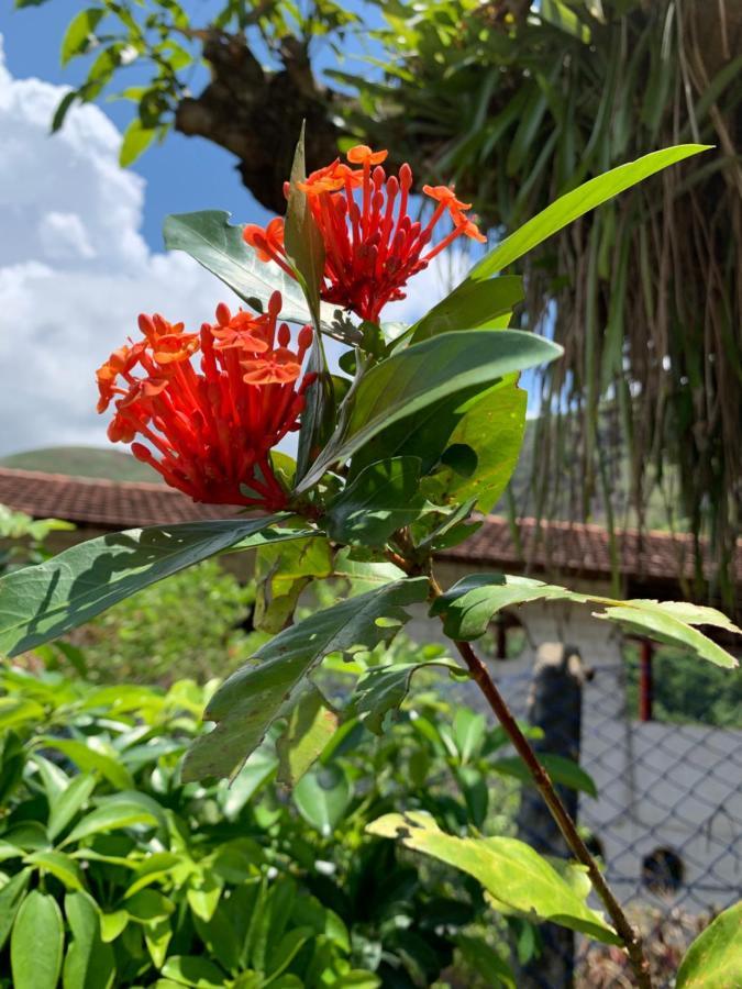 Pousada Quinta De Areal Alberto Torres 外观 照片